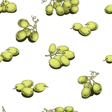 Vector seamless pattern with grape. Can be use for background, design, invi.. Stock Illustration