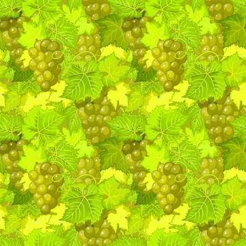 Vector seamless pattern with grapes and leaves Stock Illustration