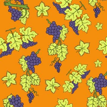 Vector seamless pattern with grapes and leaves Stock Illustration