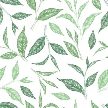 Vector seamless pattern with green hand drawn tea leaves and branches isolate Stock Illustration