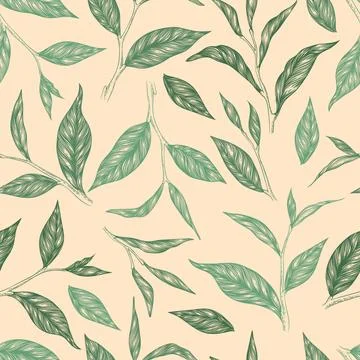 Vector seamless pattern with green hand drawn tea leaves and branches isola.. Illustrazione stock