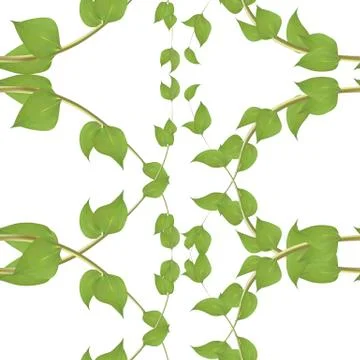 Vector seamless pattern with green ivy leaves on white background. Stock Illustration