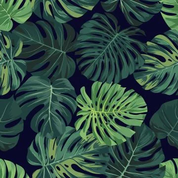 Vector seamless pattern with green monstera palm leaves on dark background 스톡 일러스트