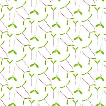 Vector seamless pattern with greenery. Stock Illustration