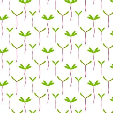 Vector seamless pattern with greenery. Stock Illustration