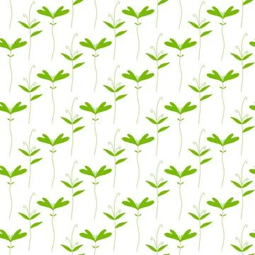 Vector seamless pattern with greenery. Stock Illustration