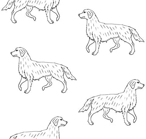 Vector seamless pattern of hand draw retriever dog Stock Illustration