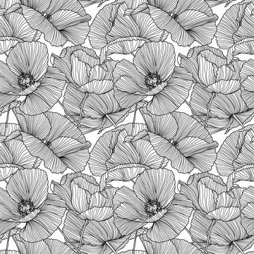 Vector seamless pattern with hand drawing wild flowers, linear black and whit Stock Illustration