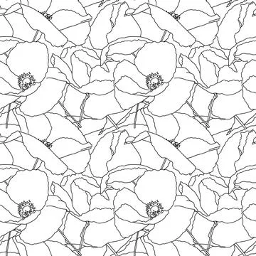Vector seamless pattern with hand drawing wild flowers, linear black and whit Stock Illustration
