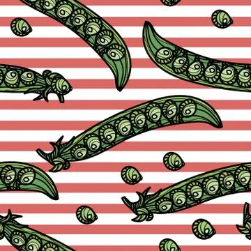 Vector seamless pattern with hand drawn green pea pods and red stripes. Stock Illustration
