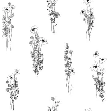 Vector seamless pattern with hand drawn herbs and flowers on white background Stock Illustration