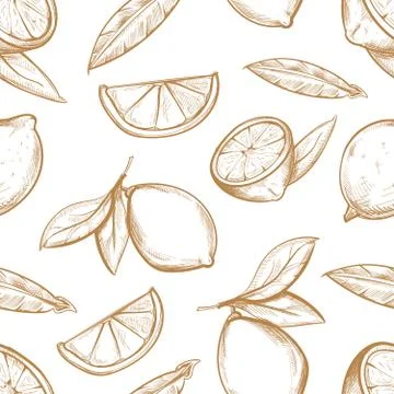 Vector seamless pattern with hand drawn lemons branch, lemon blossom, citrus Illustrazione stock