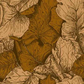 Vector seamless pattern with hand drawn dry autumn leaves. Stock Illustration