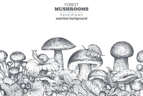 Vector seamless pattern with hand drawn forest mushrooms Stock Illustration