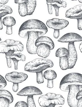 Vector seamless pattern with hand drawn forest mushrooms. Stock Illustration