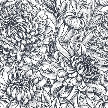 Vector seamless pattern with hand drawn chrysanthemum flowers Stock Illustration