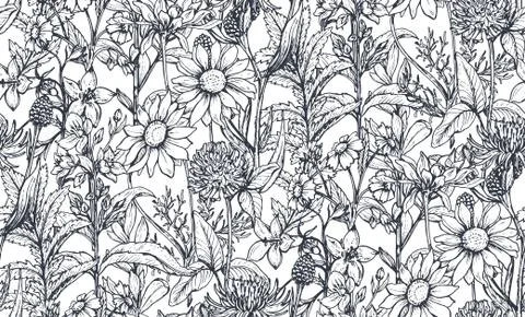 Vector seamless pattern with hand drawn herbs and flowers Stock Illustration