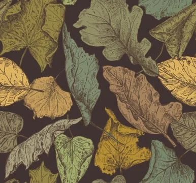 Vector seamless pattern with hand drawn dry autumn leaves. Illustrazione stock