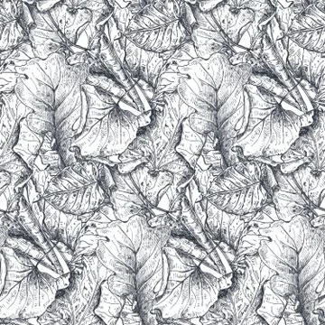 Vector seamless pattern with hand drawn dry autumn leaves. Illustrazione stock
