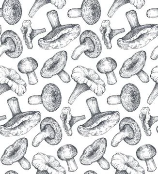 Vector seamless pattern with hand drawn forest mushrooms. Stock Illustration