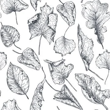 Vector seamless pattern with hand drawn dry autumn leaves. 스톡 일러스트