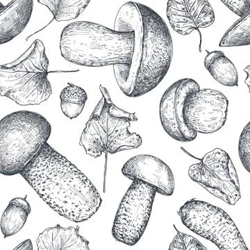 Vector seamless pattern with hand drawn forest mushrooms. Illustrazione stock
