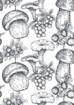 Vector seamless pattern with hand drawn forest mushrooms Illustrazione stock