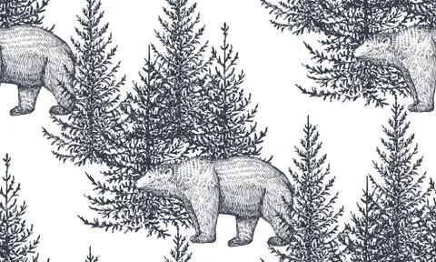 Vector seamless pattern with hand drawn bears and trees. Stock Illustration