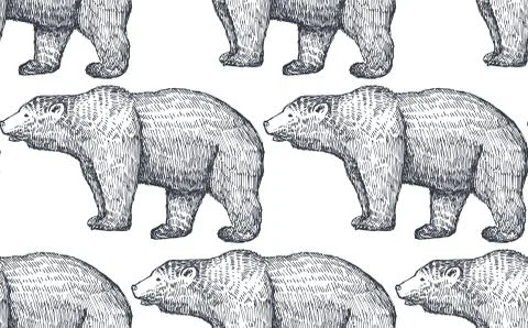 Vector seamless pattern with hand drawn bears. Stock Illustration