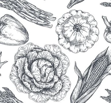 Vector seamless pattern with hand drawn vegetables Stock Illustration