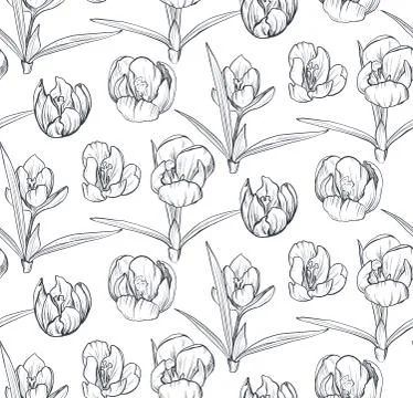 Vector seamless pattern with hand drawn spring flowers and leaves Stock Illustration