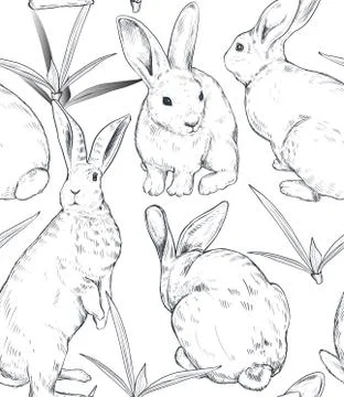 Vector seamless pattern with hand drawn rabbits. Stock Illustration