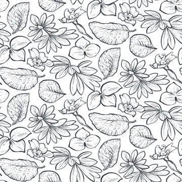 Vector seamless pattern with hand drawn spring flowers and leaves Illustrazione stock