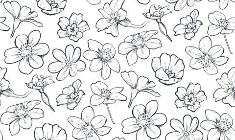 Vector seamless pattern with hand drawn spring flowers and leaves Illustrazione stock