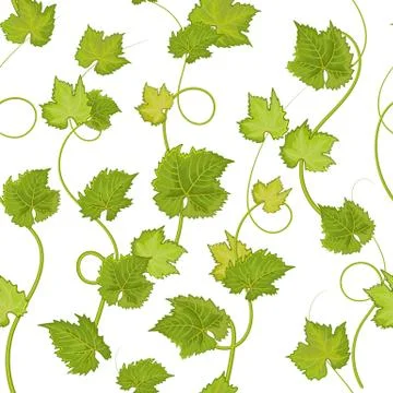Vector seamless pattern with hand drawn wine grape leaves. Beautiful floral Illustrazione stock