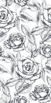 Vector seamless pattern with hand drawn rose flowers and leaves on white. Stock Illustration