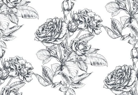 Vector seamless pattern with hand drawn rose flowers and leaves on white. Illustrazione stock