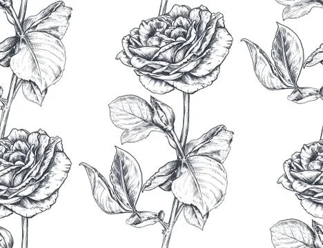 Vector seamless pattern with hand drawn rose flowers and leaves on white. Illustrazione stock