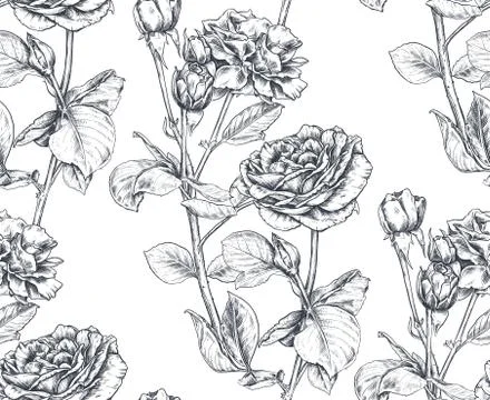 Vector seamless pattern with hand drawn rose flowers and leaves on white. Illustrazione stock