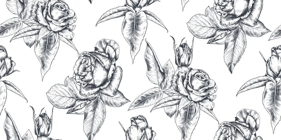 Vector seamless pattern with hand drawn rose flowers and leaves on white. Stock Illustration