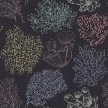 Vector seamless pattern with hand drawn ocean plants and coral reef elements in Stockillustratie