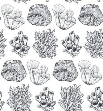 Vector seamless pattern with hand drawn ocean plants and coral reef elements in Stock Illustration