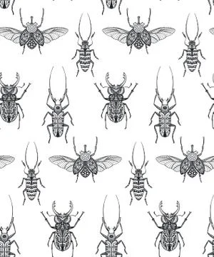 Vector seamless pattern with hand drawn insects. Entomological magical endless Stock Illustration