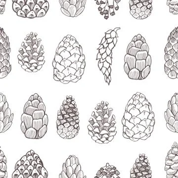 Vector  seamless pattern with   hand drawn pine cones. Stock Illustration