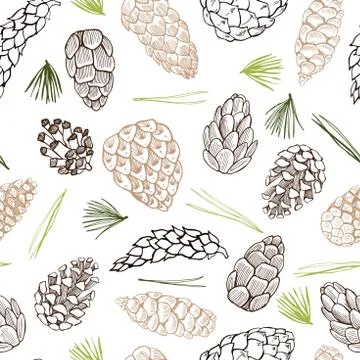 Vector  seamless pattern with   hand drawn pine cones. Stock Illustration
