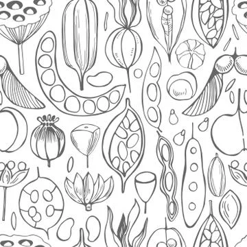 Vector  seamless pattern with hand drawn seedpods. Stock Illustration