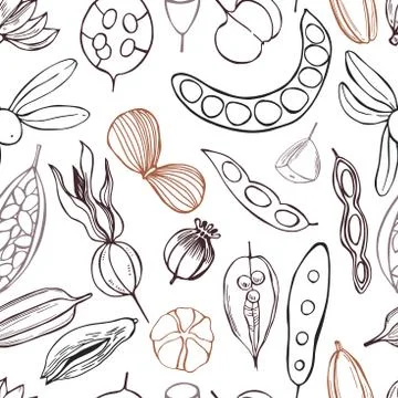 Vector  seamless pattern with hand drawn seedpods. 库存插图