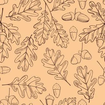 Vector  seamless pattern with hand drawn oak leaves and acorns. 스톡 일러스트