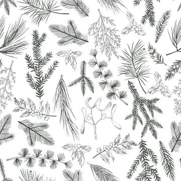 Vector  seamless pattern with hand drawn Christmas plants Stock Illustration