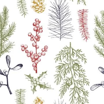 Vector  seamless pattern with hand drawn Christmas plants Stock Illustration
